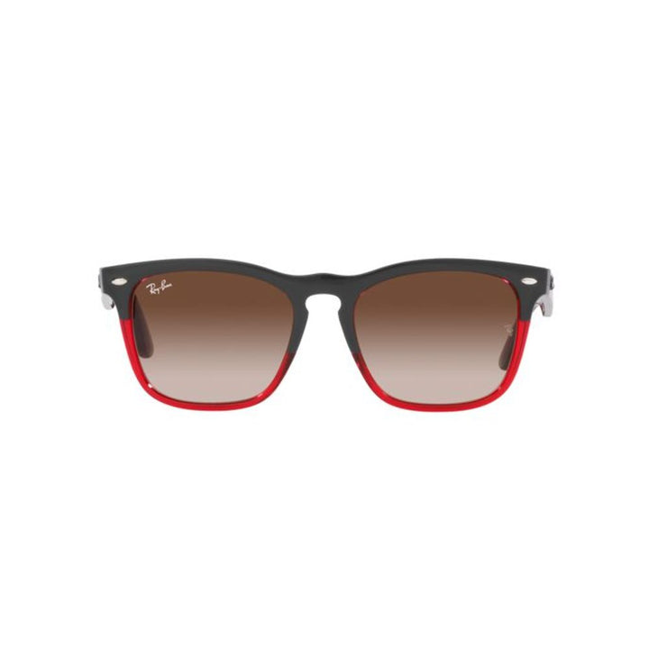 Ray-Ban Multicolor Nylon Sunglasses