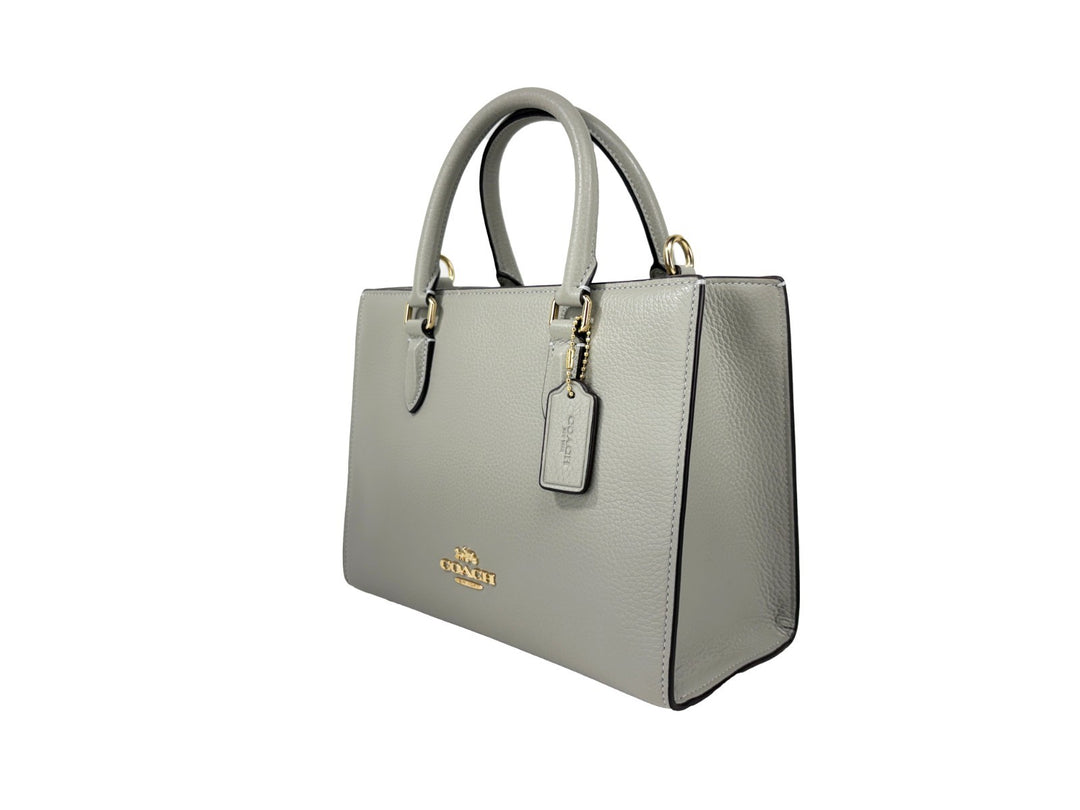 COACH Coach Maggie Small Leather Crossbody Tote Bag