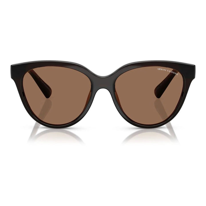 Armani Exchange Brown Injected Sunglasses