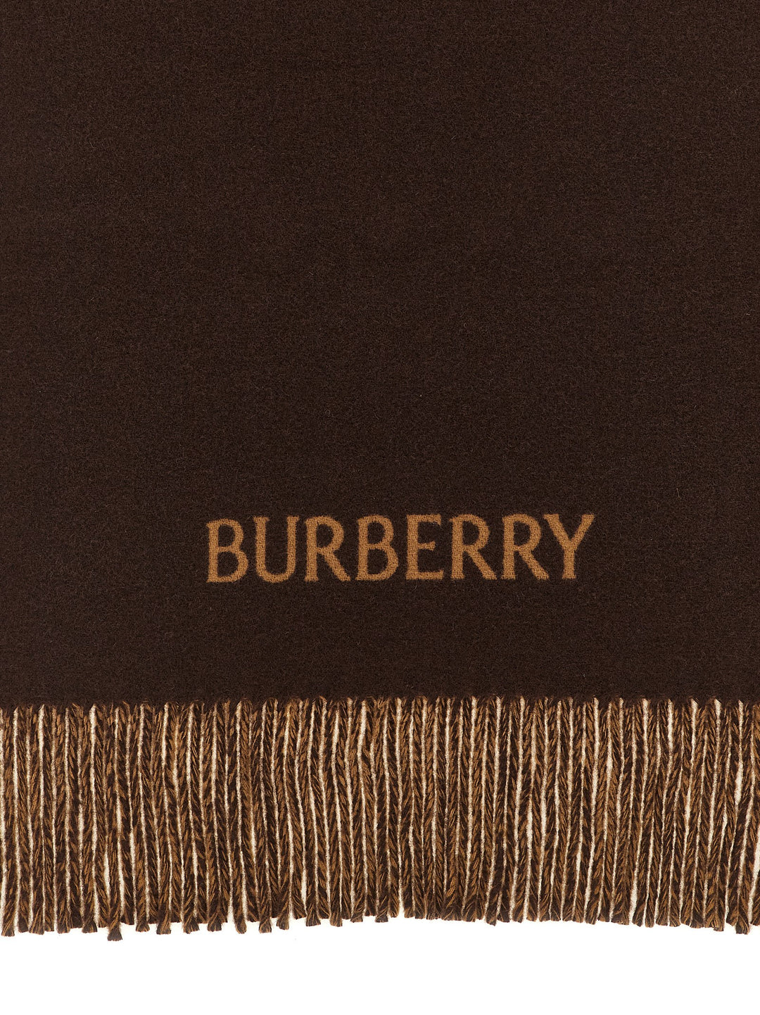 Burberry Multicolor Cashmere Scarf