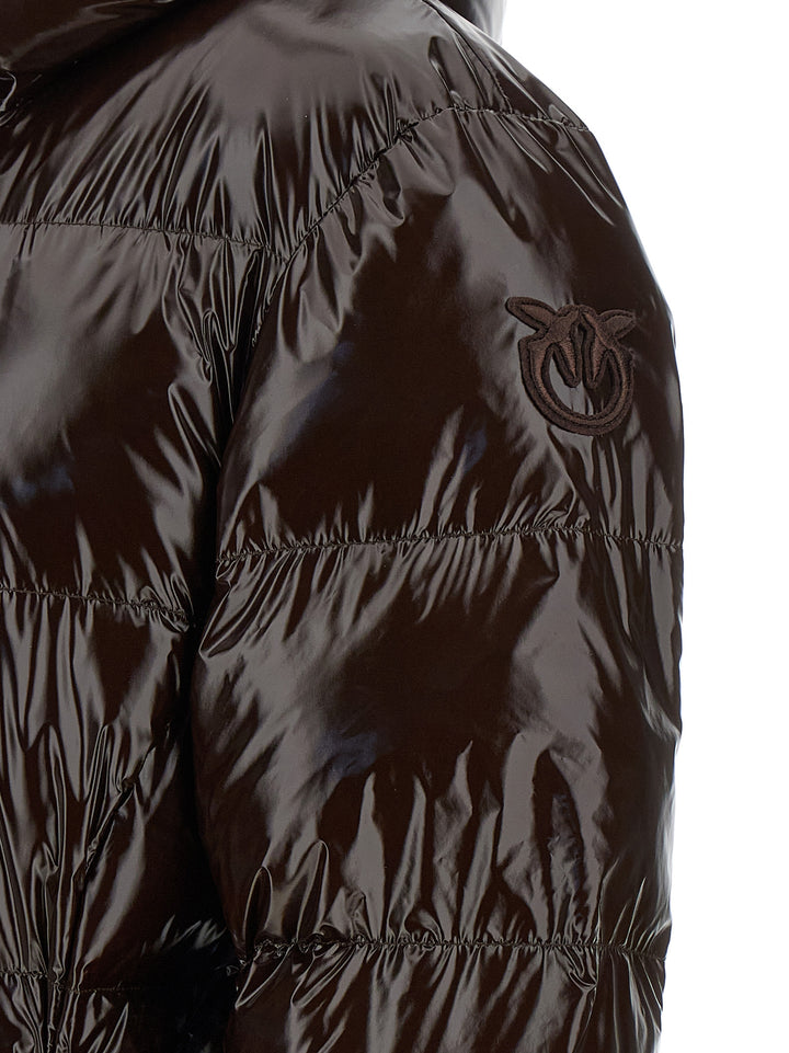PINKO Brown Polyamide Full-Length Jacket
