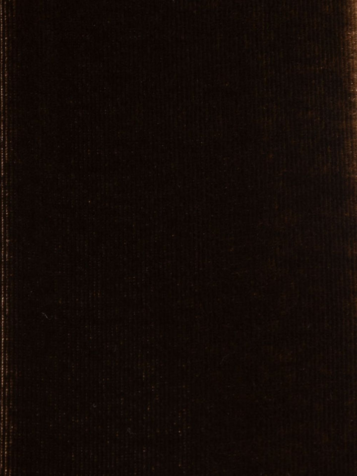 Emporio Armani Scarfs Brown