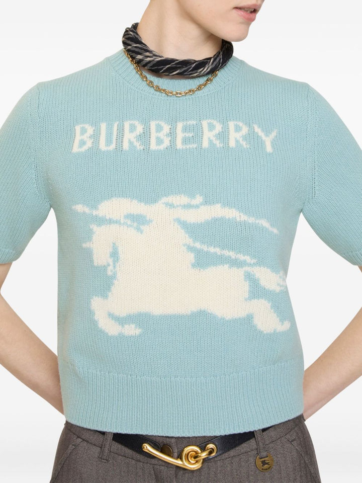 Burberry T-shirts and Polos Clear Blue