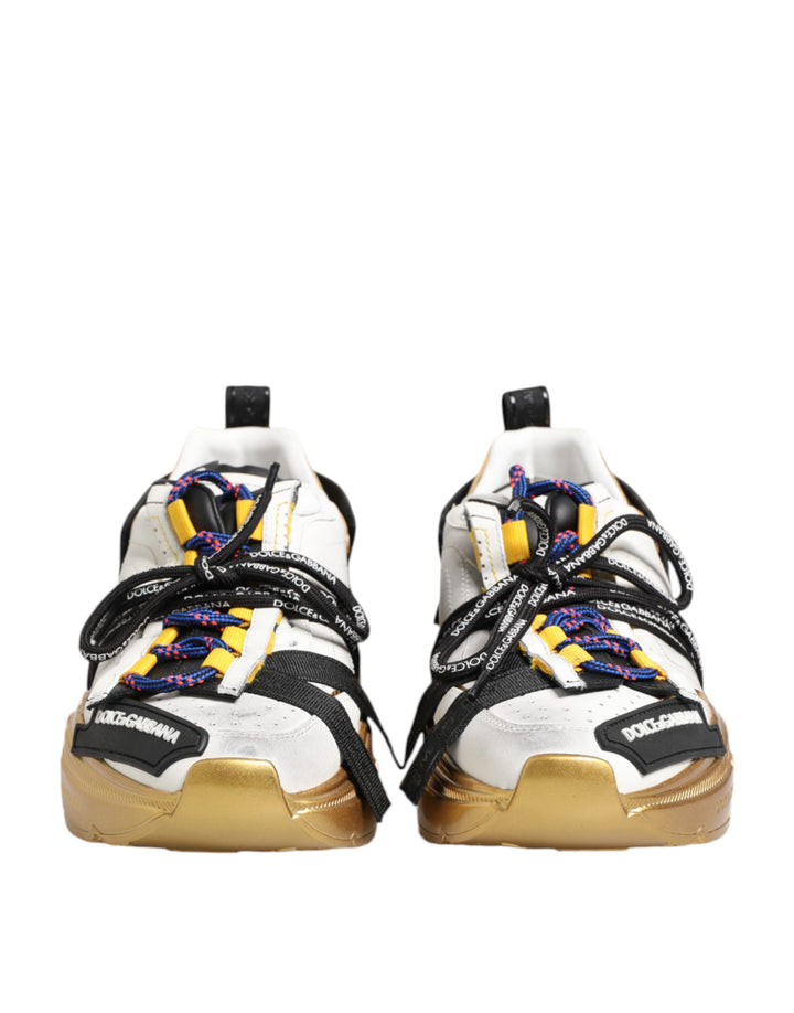 Dolce & Gabbana Multicolor Daymaster Low Top Sneakers Shoes