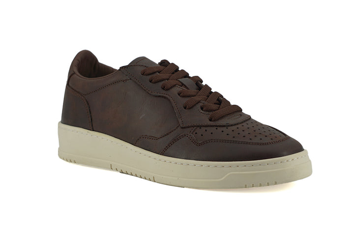 Saxone of Scotland Exclusive Leather Fabric Sneakers in Brown